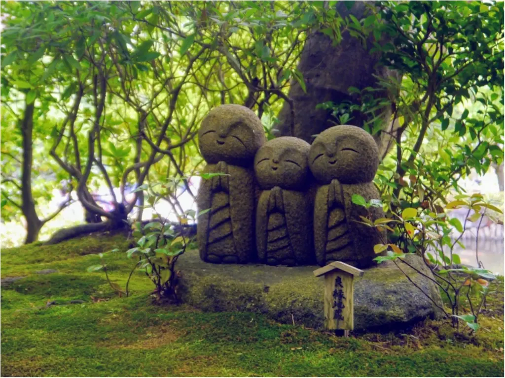 まだ間に合うかも!?【鎌倉】の “ 紫陽花 ” を観て、心をリフレッシュしてみてはいかがでしょうか?_2