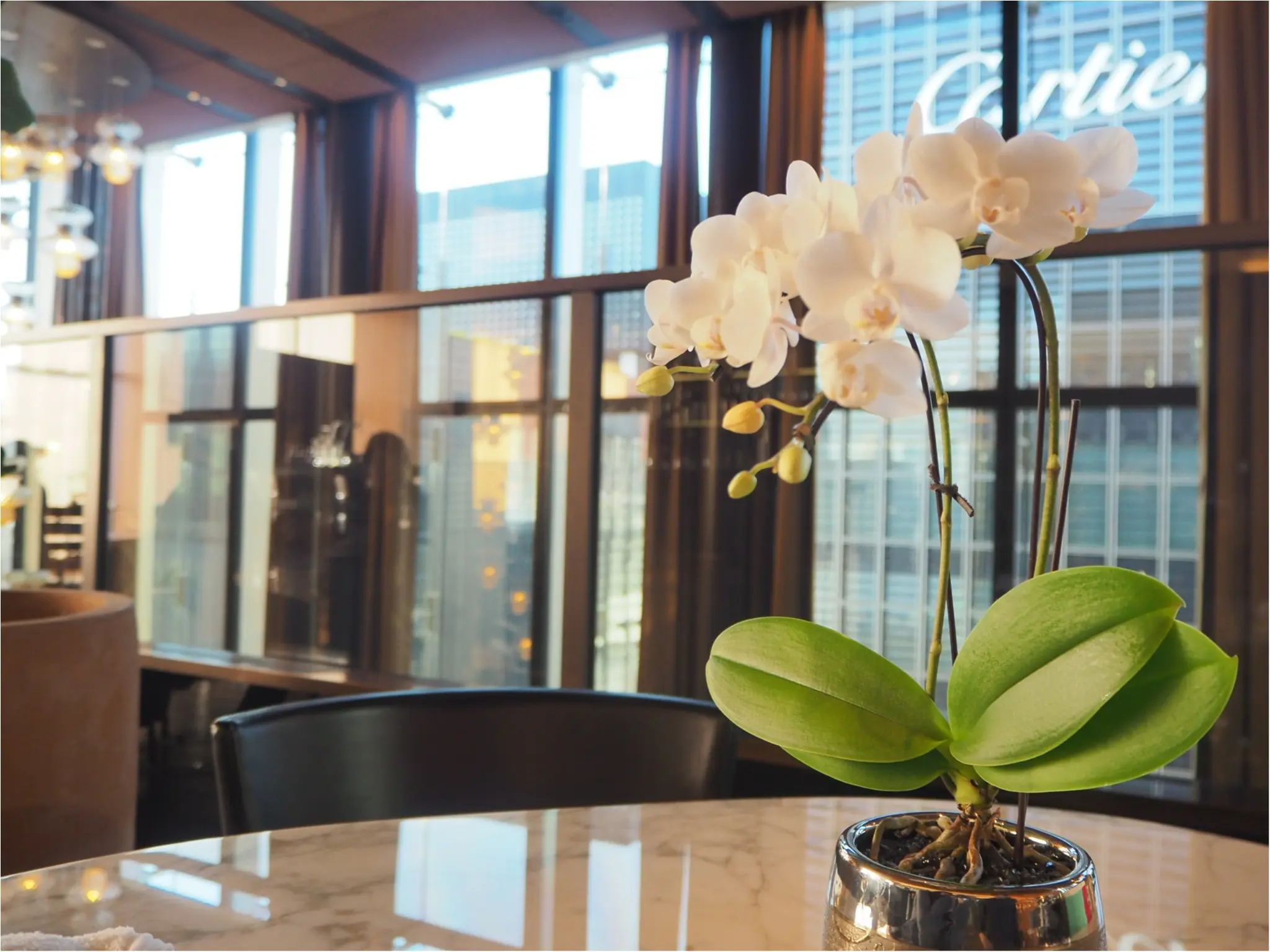 ~銀座の中心でカフェタイムはいかが?~【BVLGARI Il bar(ブルガリイルバー)】で贅沢なティータイムを♪_2