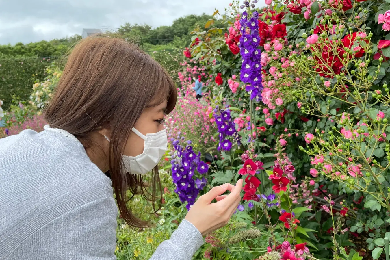 【薔薇満開】あしかがフラワーパークに行ってきました_3