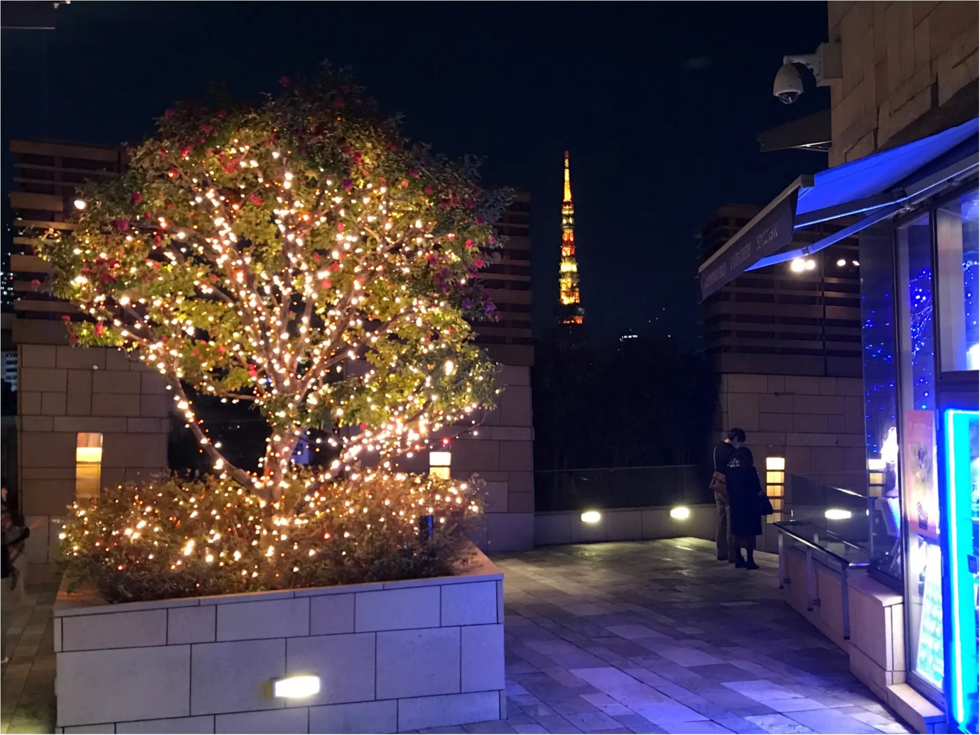 六本木の冬の風物詩【けやき坂イルミネーション】東京タワーとのコラボが幻想的♡_4