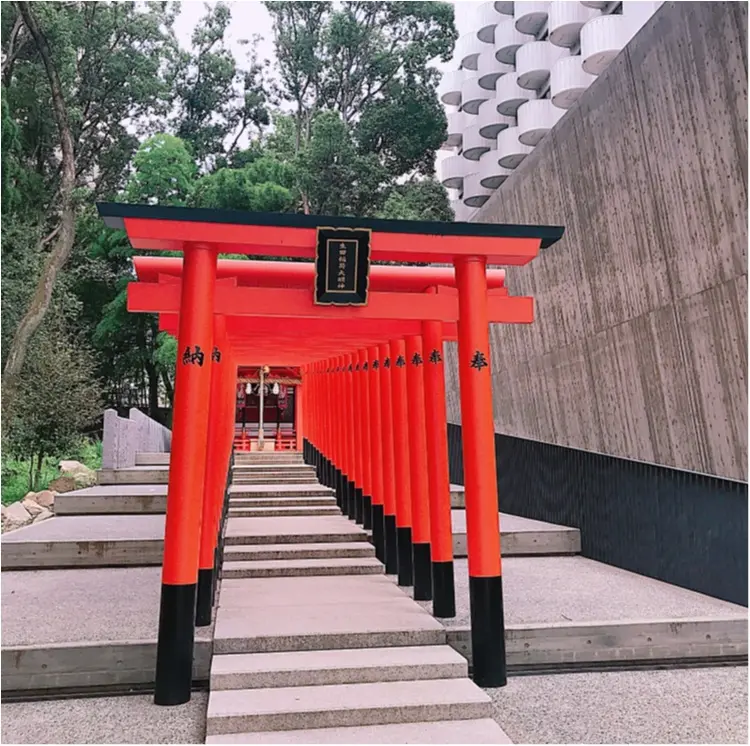 【ご当地MORE神戸】生田神社で恋愛についてお願いしてきました。笑っ_4