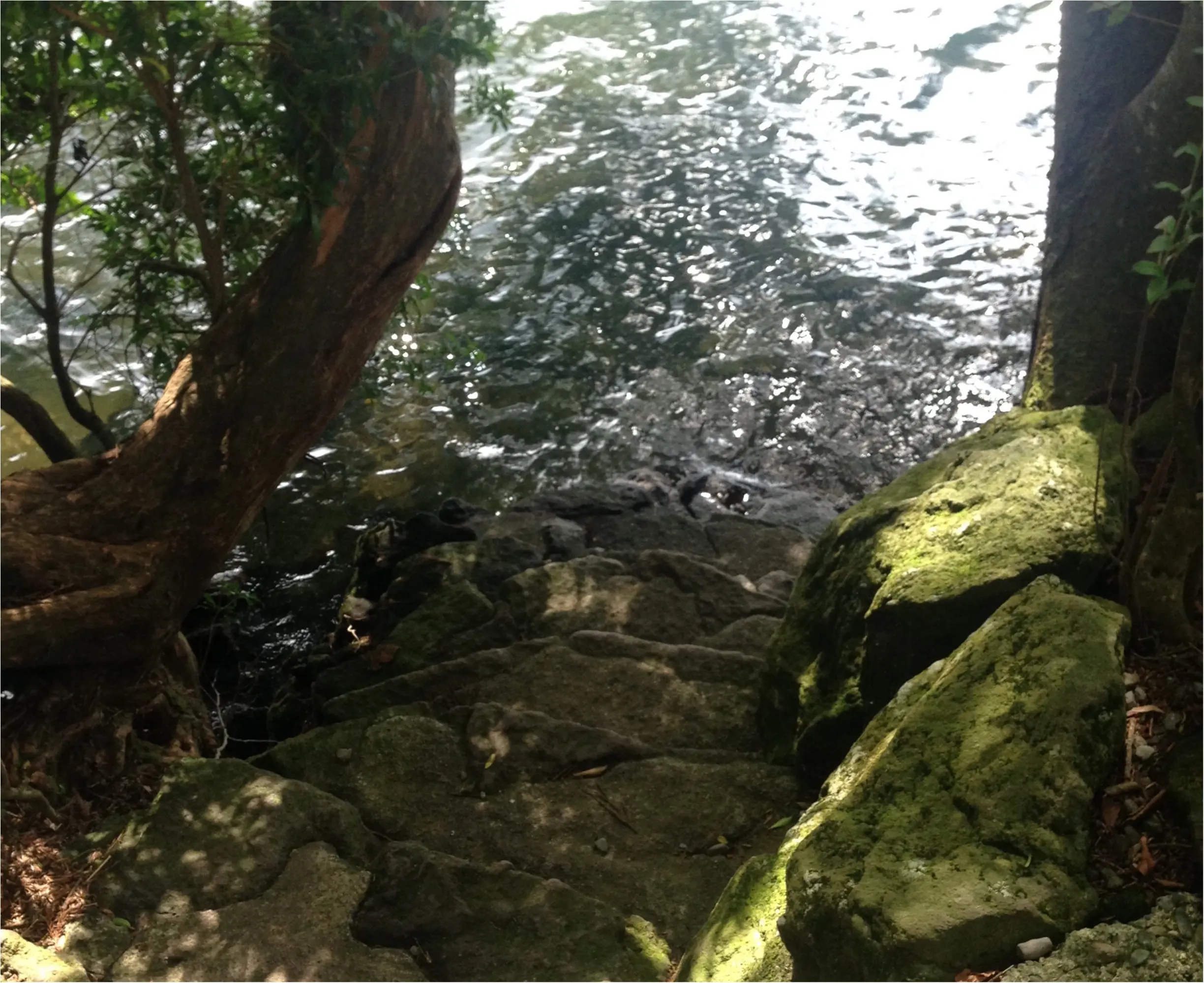 いざ、参らん!箱根のパワースポット。縁結びの神&富士山の美味しい湧き水もタダで❤️_9