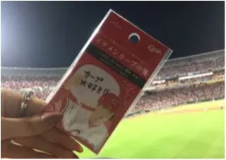 【カープ女子必見】なかなか手に入らない人気シート!ついに《寝ソベリア》初体験!このシートならではの楽しみかた!_10