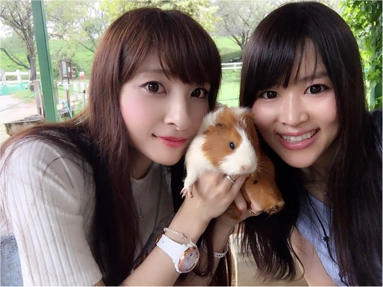 ♡【都内から1時間ちょっと】ひまわり畑見てきたよー♡モアハピ◡̈のぞみ♡_15