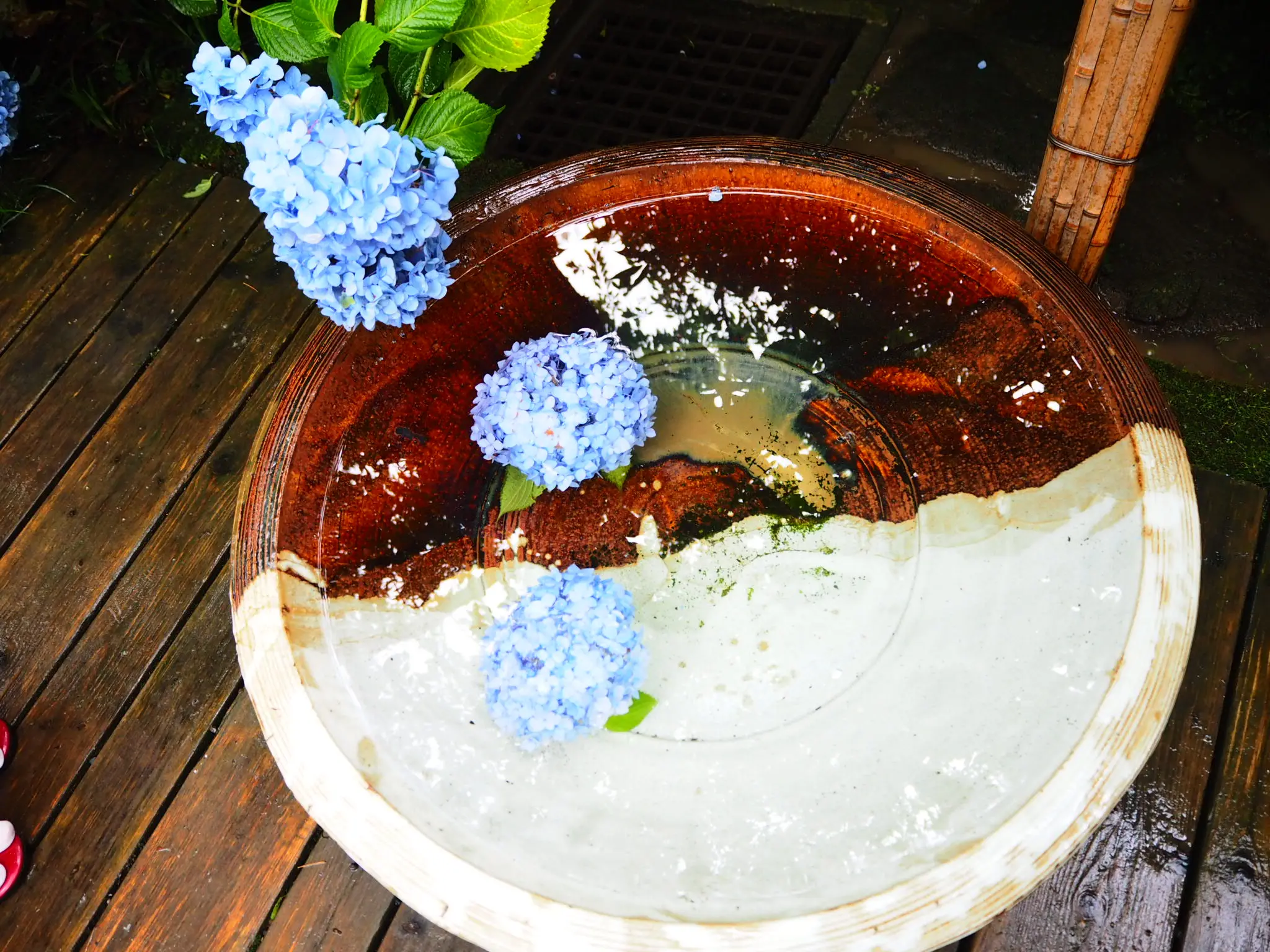 夏着物で鎌倉女子旅♡ 紫陽花がとっても綺麗でした♡_19