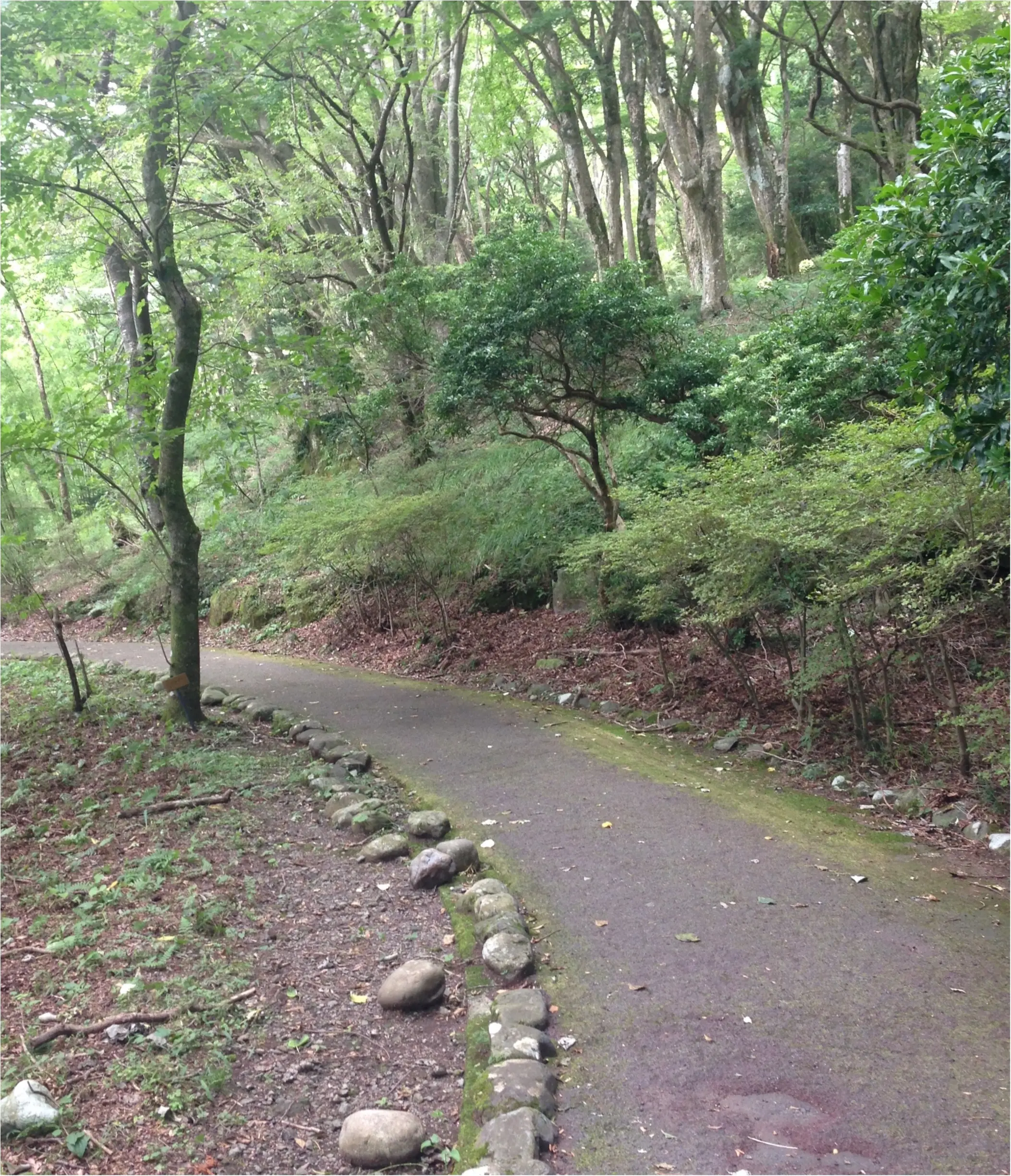 いざ、参らん!箱根のパワースポット。縁結びの神&富士山の美味しい湧き水もタダで❤️_7