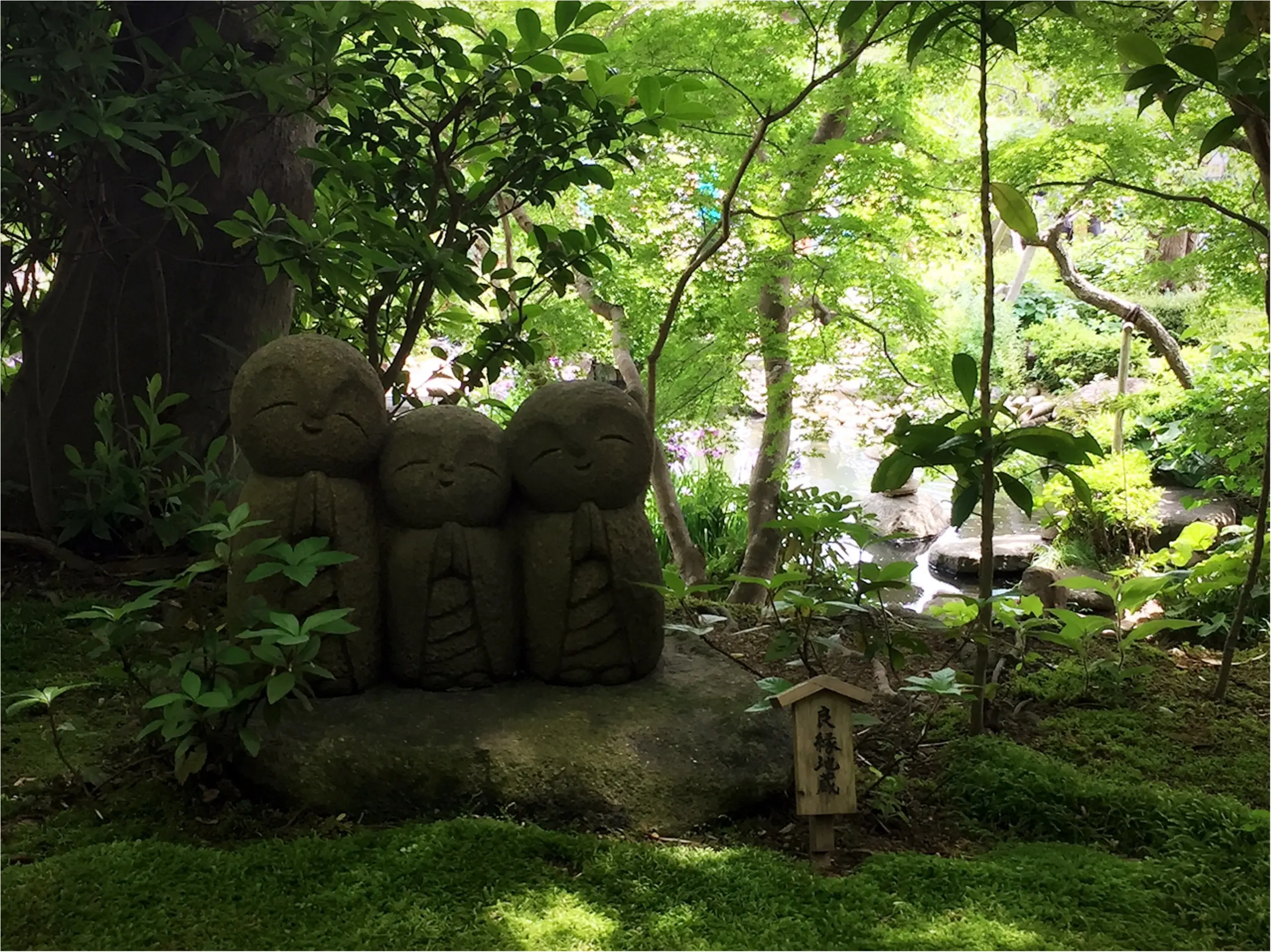 週末鎌倉さんぽ。今が見頃!紫陽花を見に長谷寺へ行ってきました♡*_2