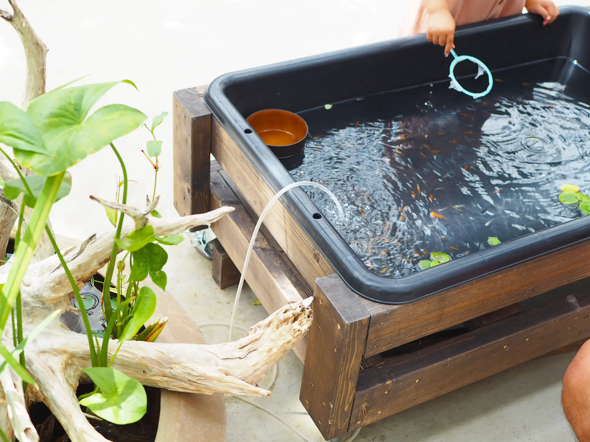 【スタバ×植物園?!】噂のスポット「HANA・BIYORI」徹底レポ!♡ 〜見どころ編〜_17