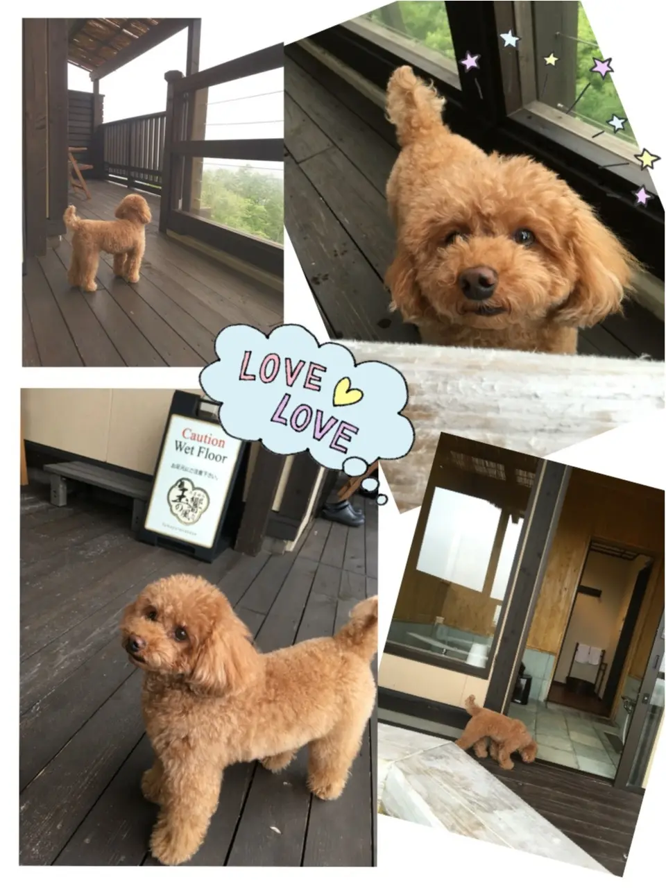 ♡旅行中でも太らないダイエットポイント♡モアハピ◡̈のぞみ♡_10