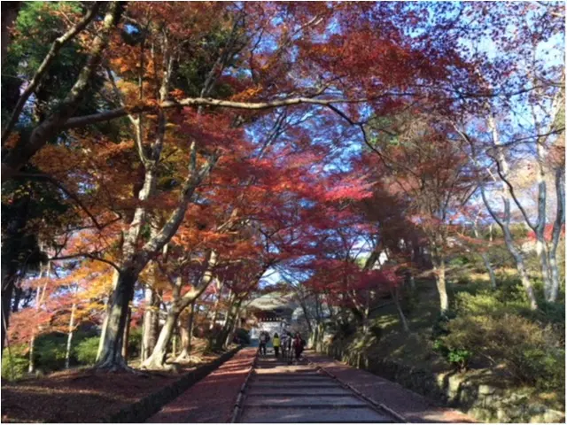 【京都のおすすめ紅葉スポット】毘沙門堂_1