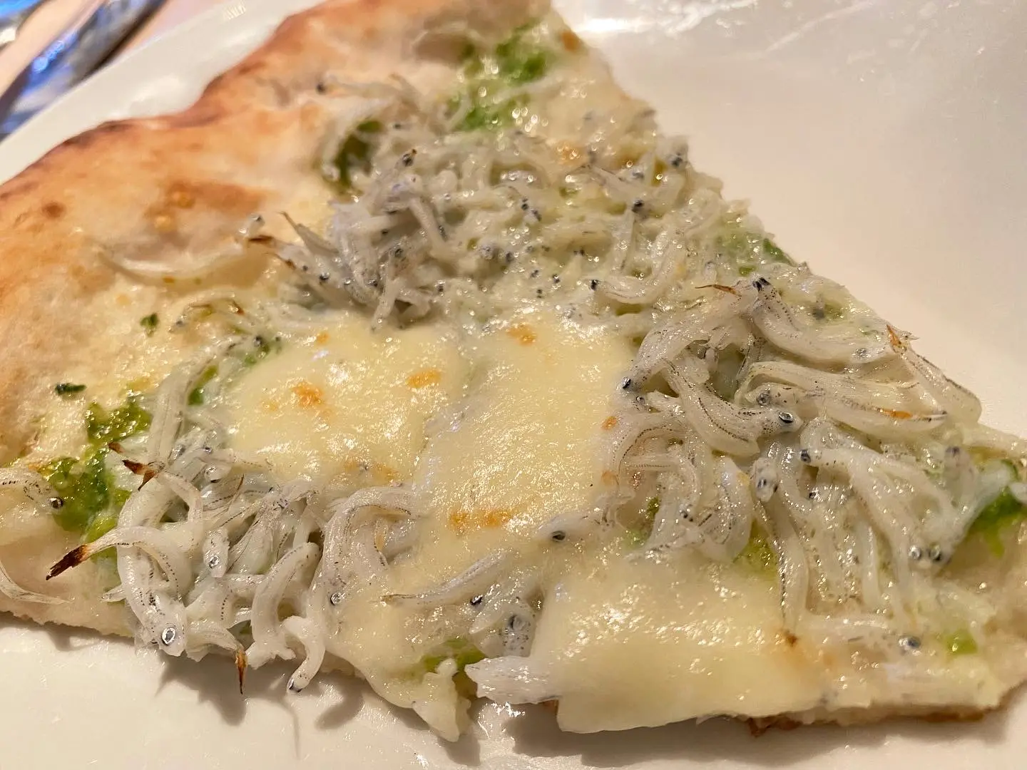【調布】ステキレストランで食べるイタリアンが絶品。〜CANTERA調布〜_4