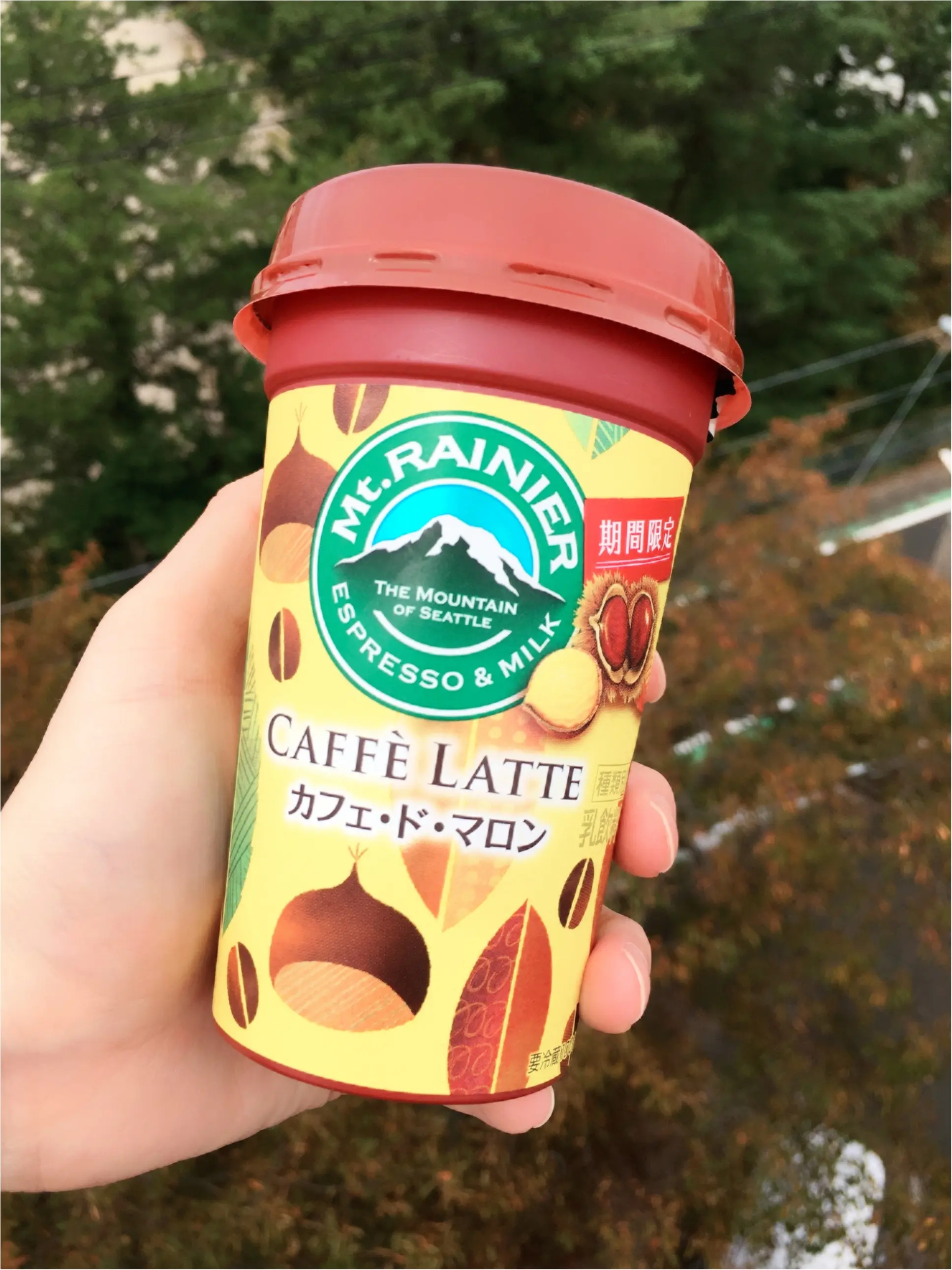 秋限定【Mt.RAINIER】のチルドカップ《カフェ ド マロン》が栗の風味で美味♡_2