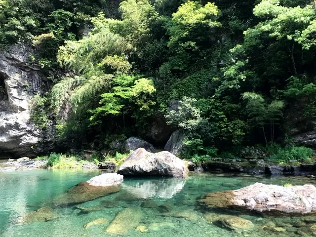 【高知県】行くならここ行くべき☝️おすすめスポットご紹介☺︎_2