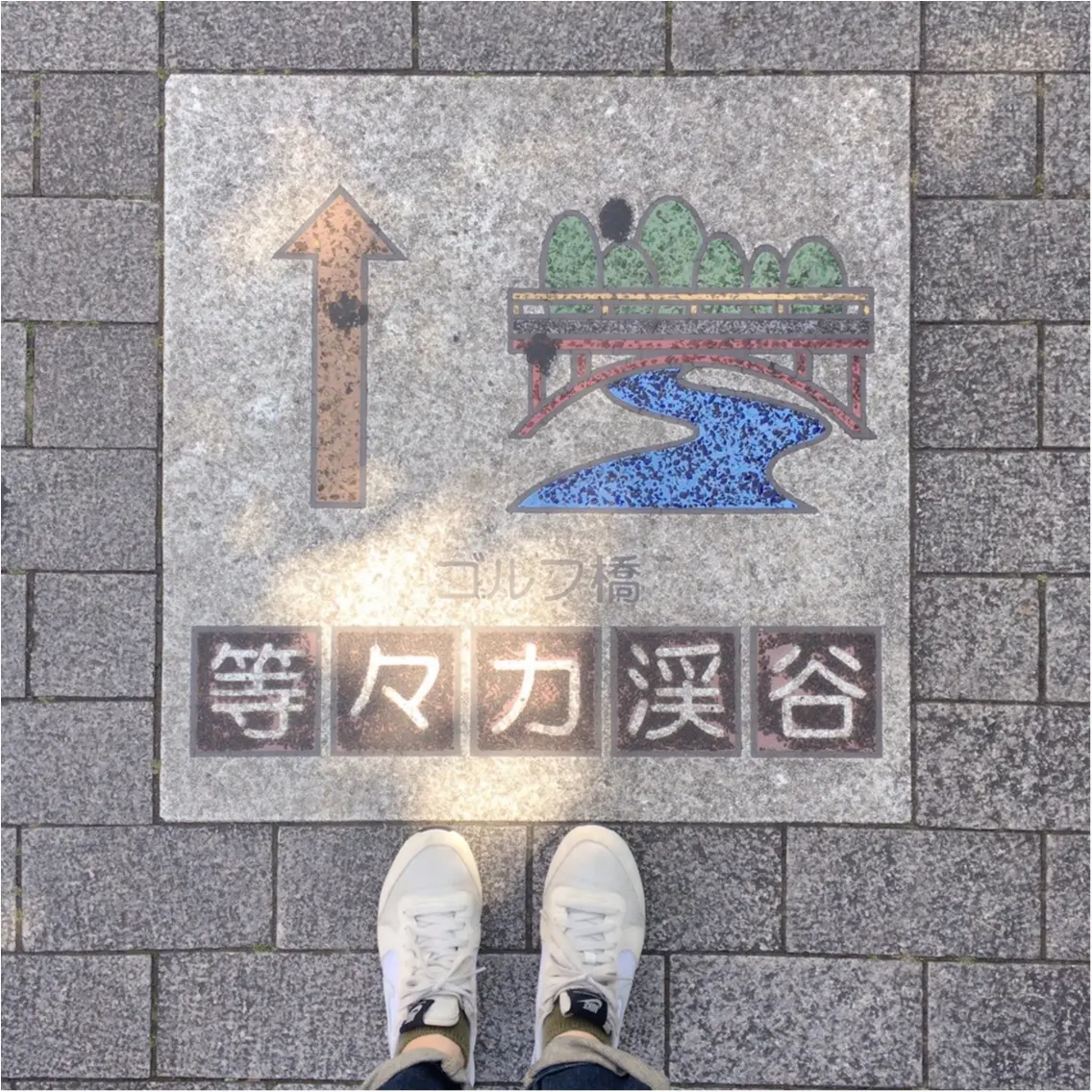 都内で大自然を楽しめる場所見つけた♡_1