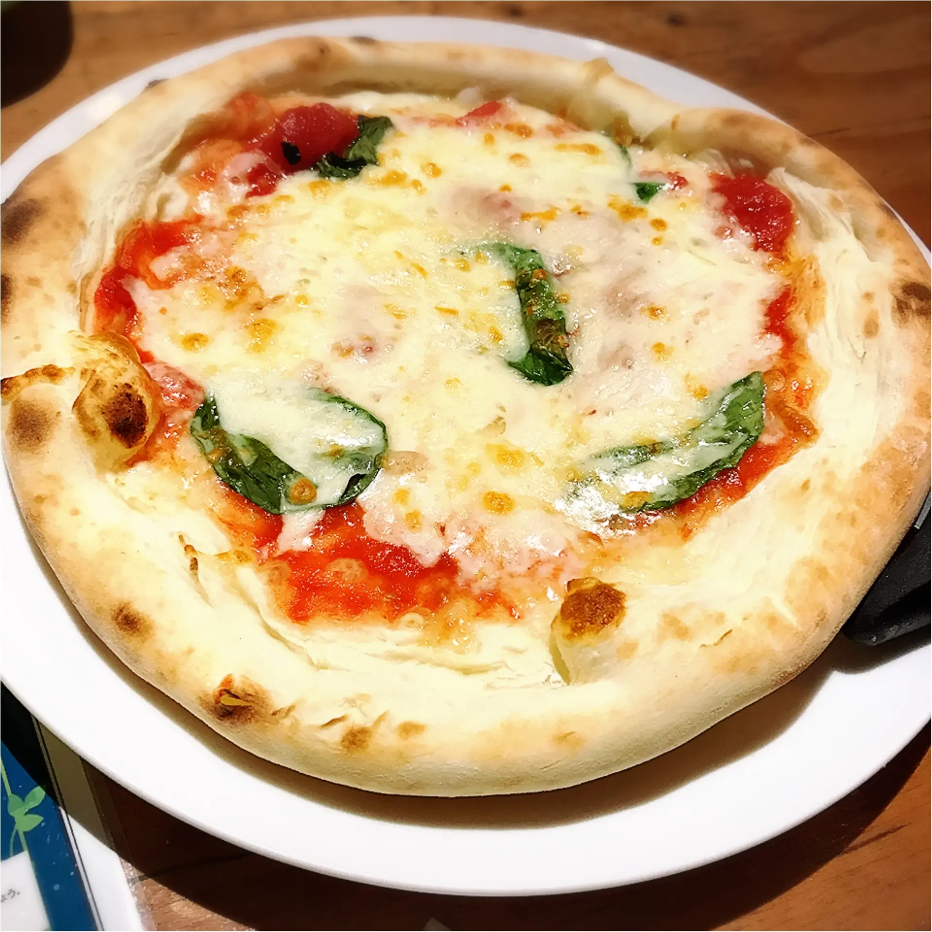 ★そろそろ準備する頃⁉︎来る忘年会シーズン。楽しくて美味しい!そんなお店を探すなら『千種グリル』が断然オススメ★_8