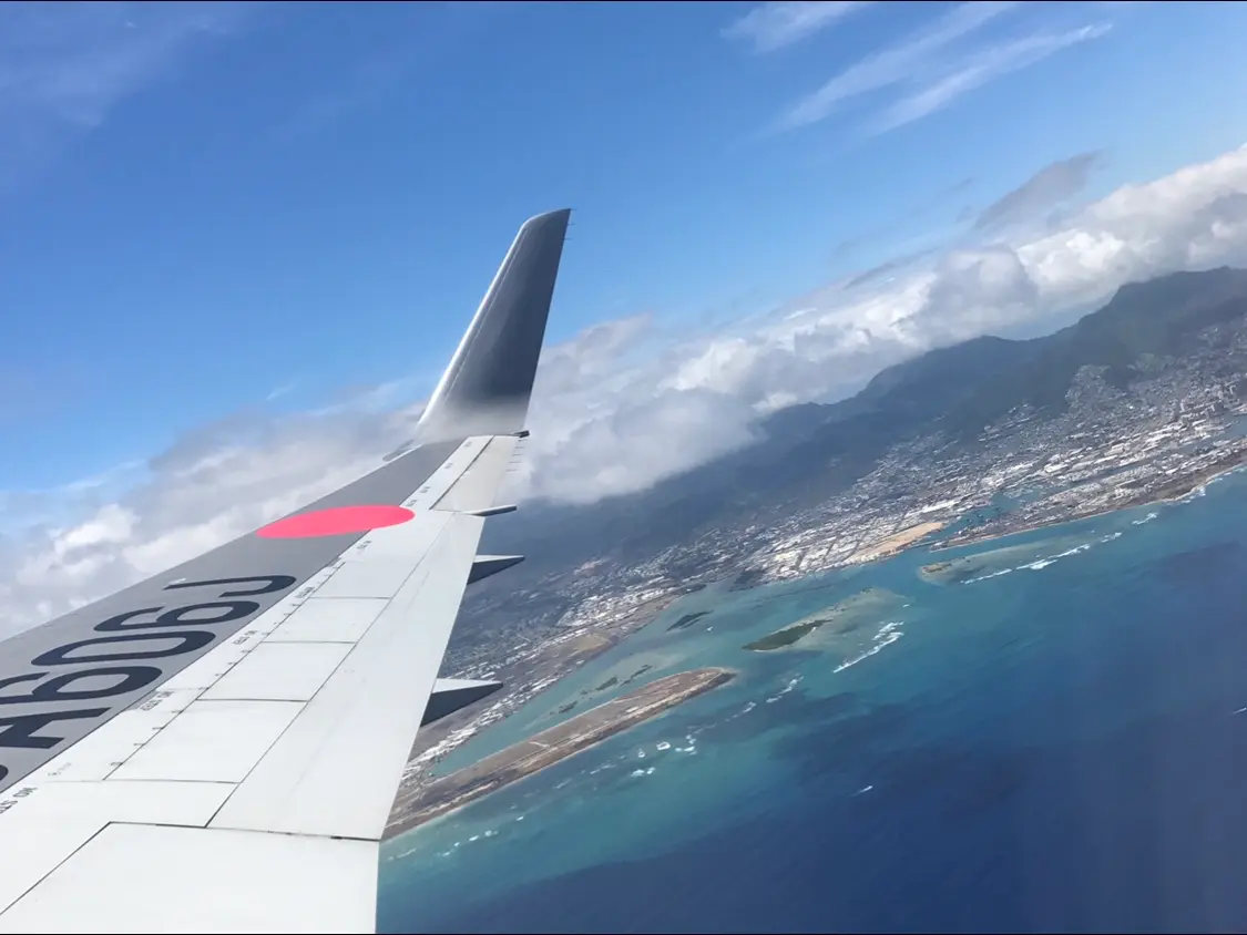 【20代女子の愛用財布】人と被りにくいHawaiiブランド《Lanai TRANSIT | HAWAII》_5