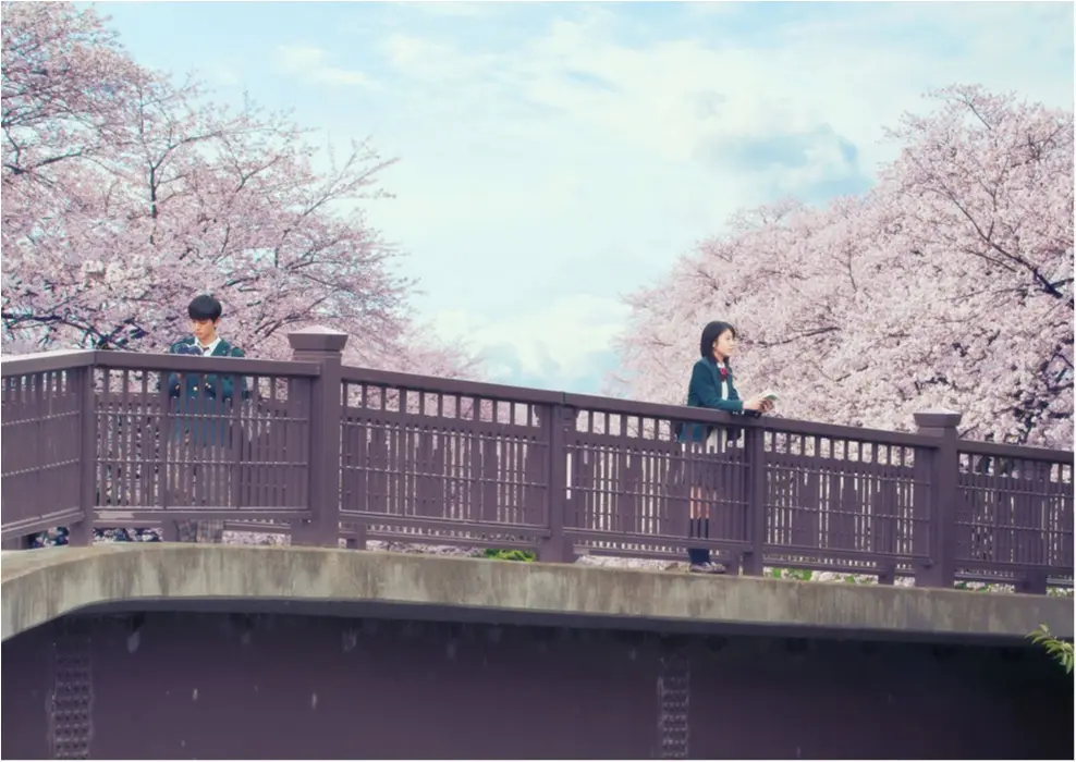“難病もの”が苦手な人こそオススメ! 小栗旬と北川景子のリアルな演技に涙する『君の膵臓をたべたい』_1