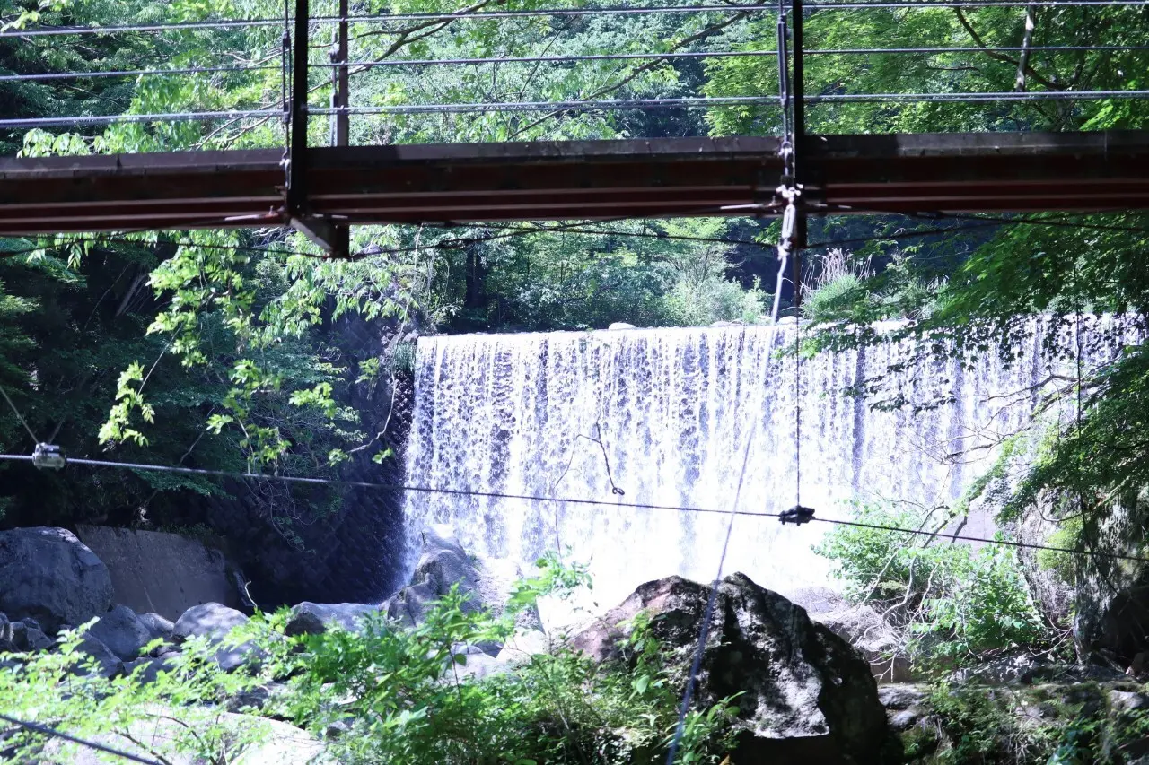 【箱根】自然と温泉とグルメを満喫する旅♨_2