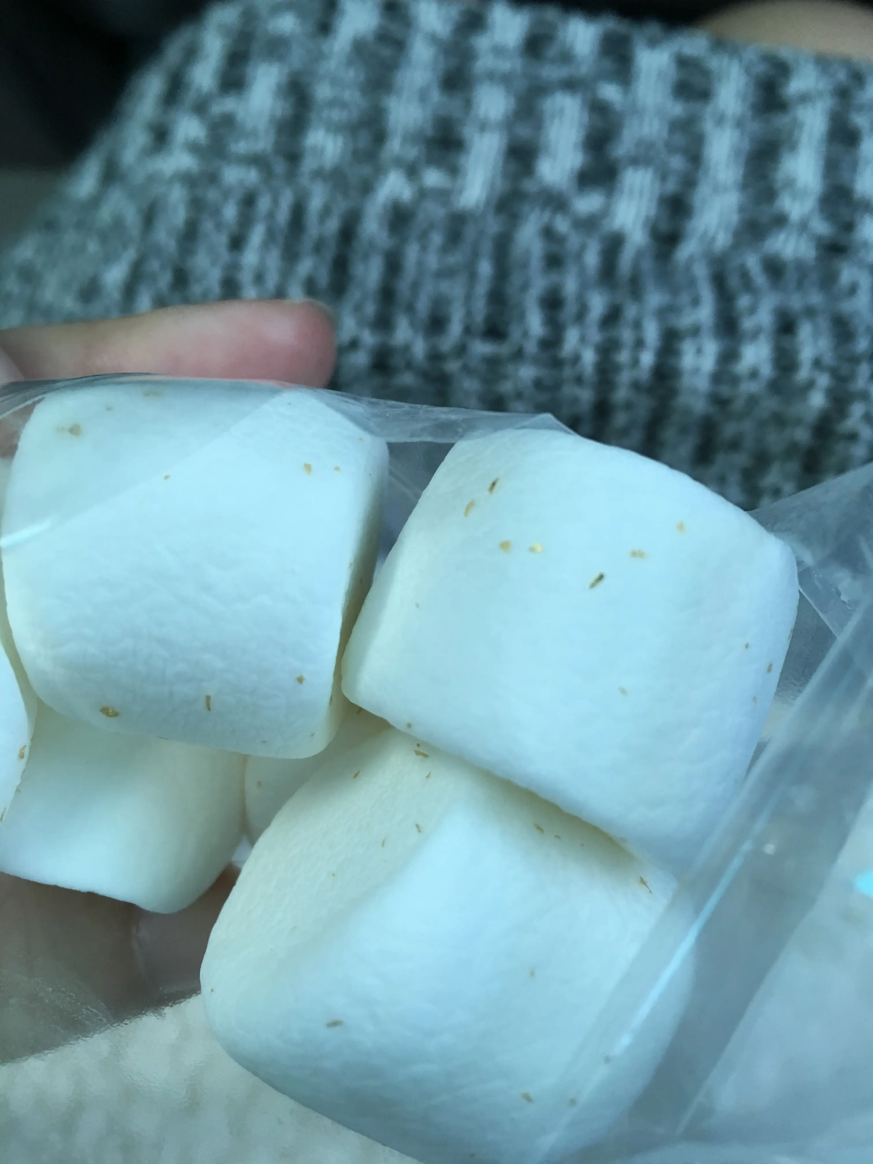 記念日にぜひ❤️シェフが目の前で焼いてくれる夢の鉄板焼フルコース!♡鮑にフォアグラに贅沢ディナー。_2