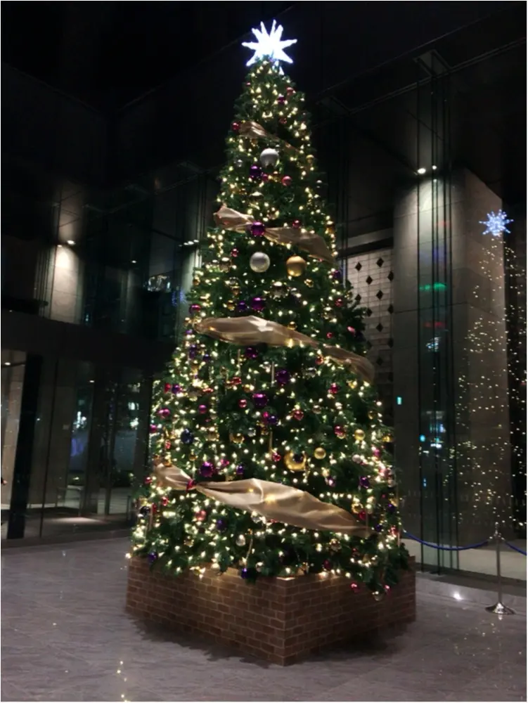 CHANELのクリスマスコフレを受け取りに行ってきた♡_3