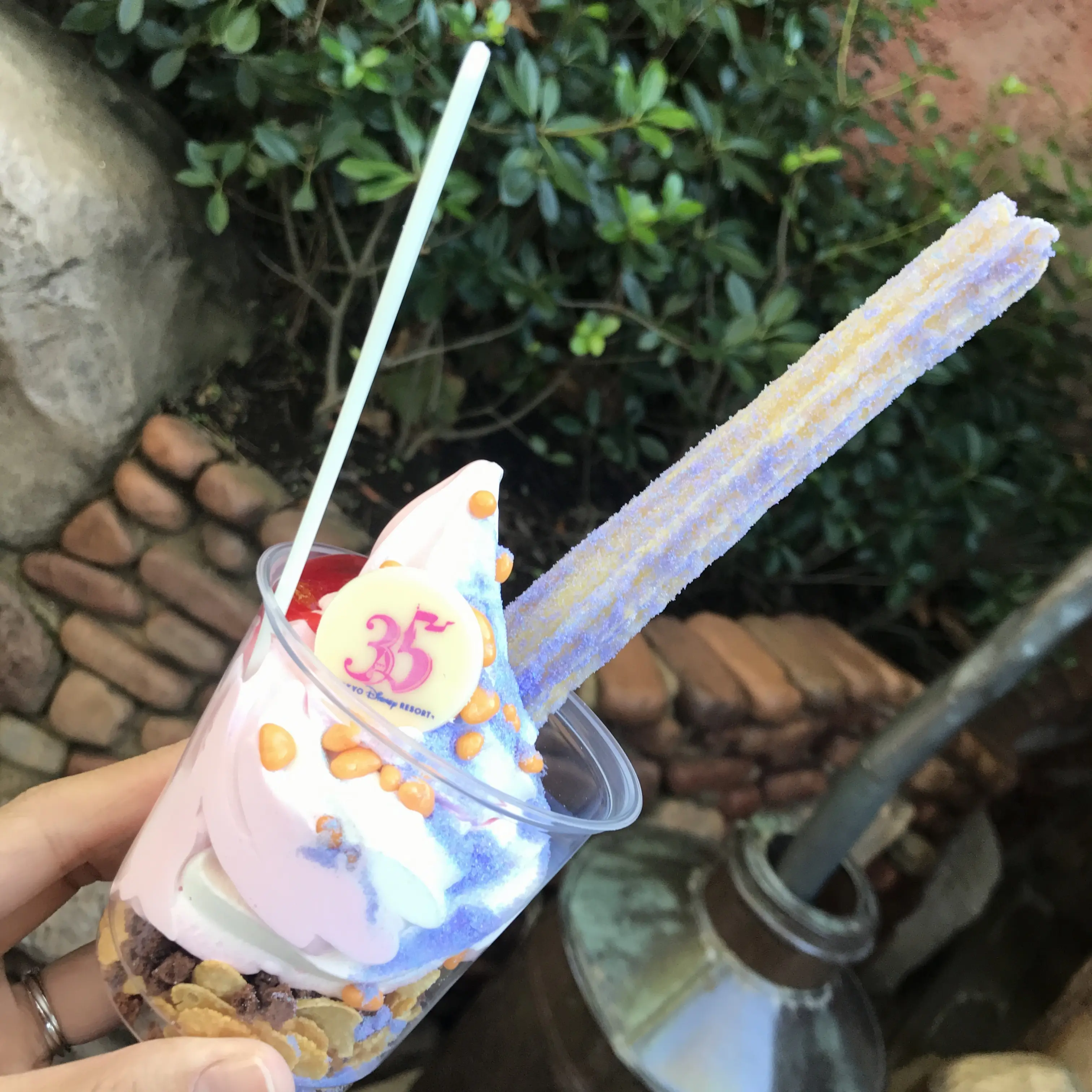 【Disney Land Xmas!】35周年&クリスマスシーズンの食べ歩きフード_4