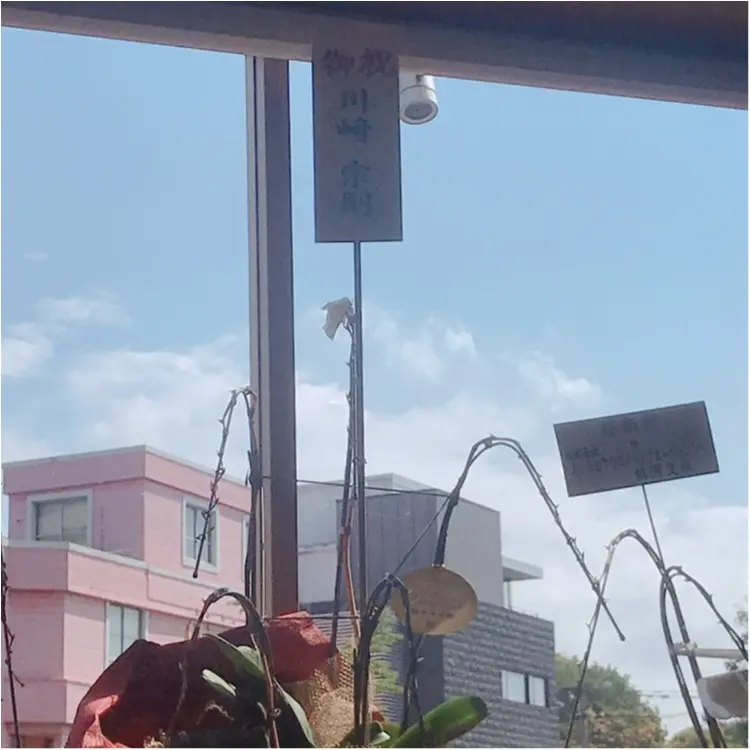 【ご当地MORE♡福岡】福岡に来たら1度は行ってほしいパスタ屋さん✨_4