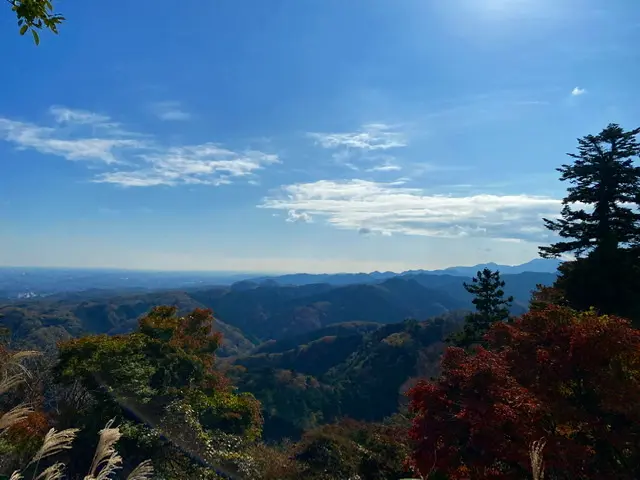 グルメも景色も盛り沢山、この時期ぴったり【日帰り高尾山】へ!_2