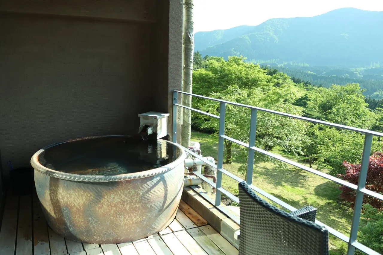 【箱根】自然と温泉とグルメを満喫する旅♨_6