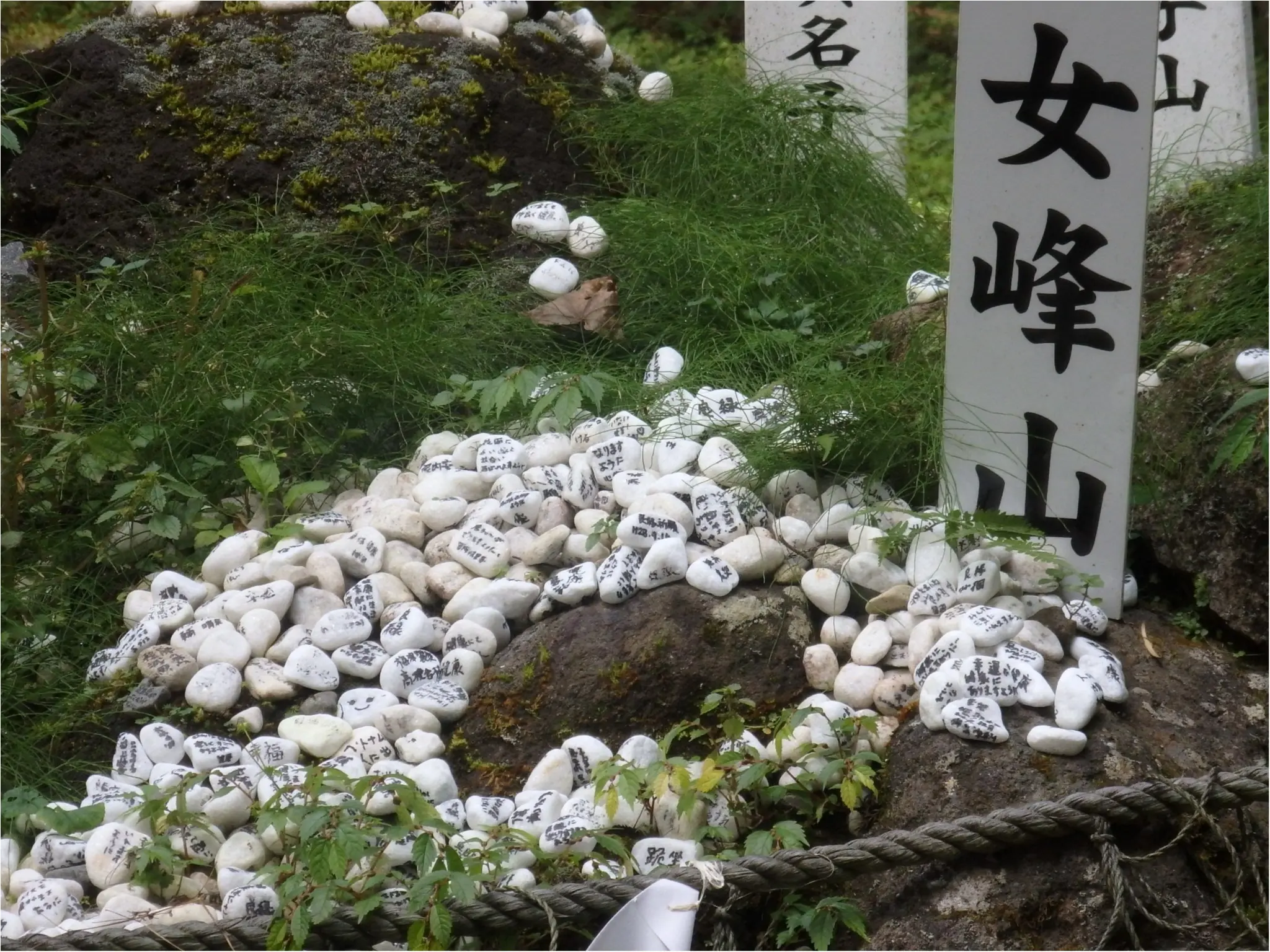 【知らなかった!】日本一楽しめる神社へ潜入してみた_38