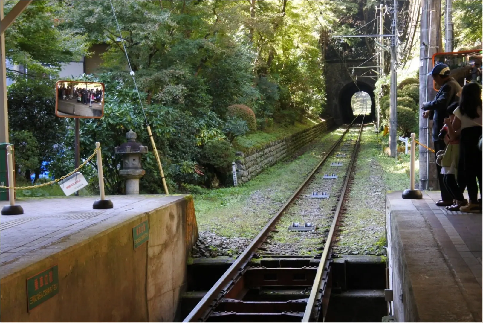 ""まだ見てない!紅葉滑り込みスポットの高尾山へGO!””NO.452/こりー_3