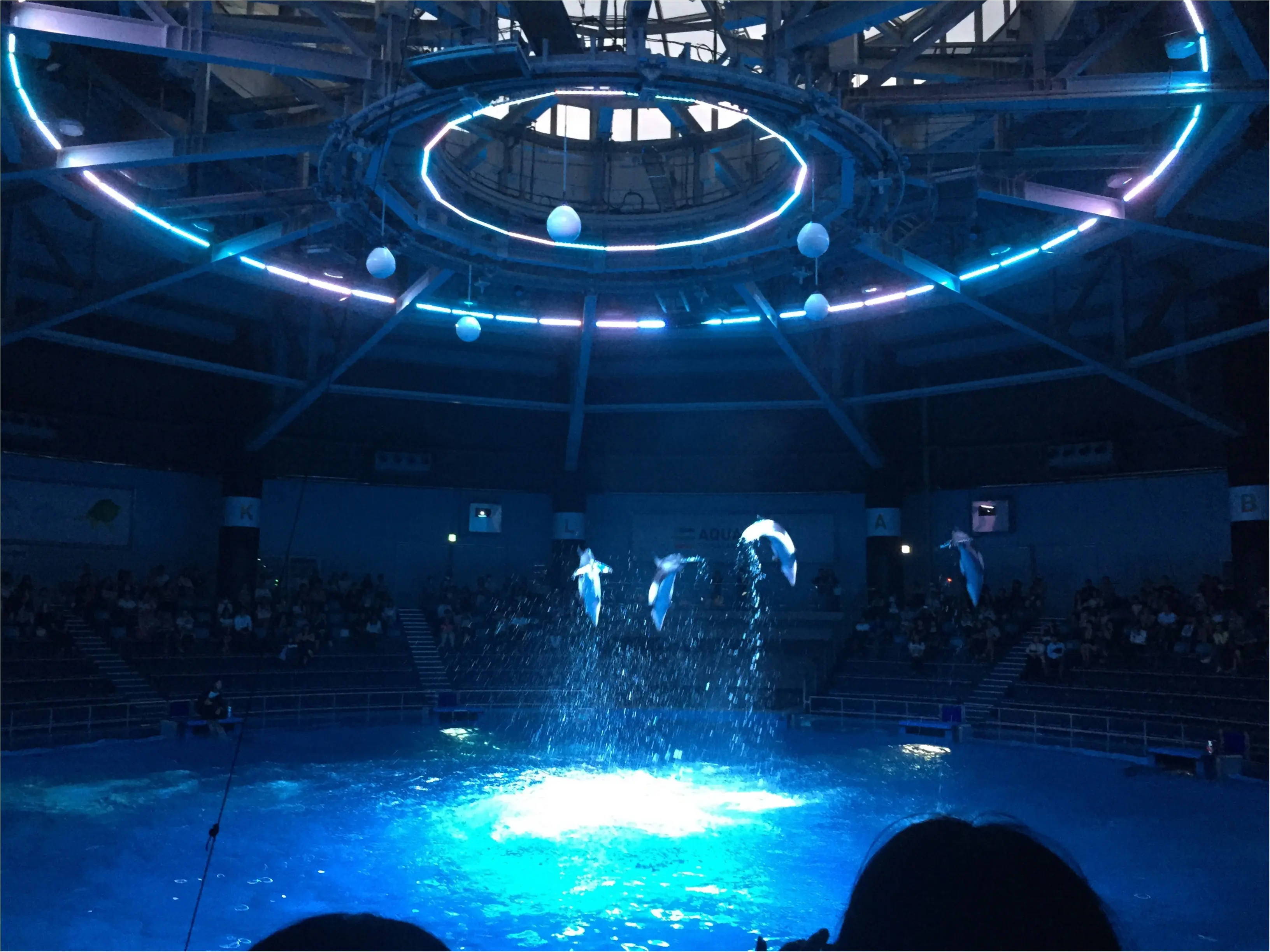 昼と夜でイルカショーが変わる!?光・音・映像と海の生き物のコラボレーション ✨《*アクアパーク品川*》の魅力☆★ _19