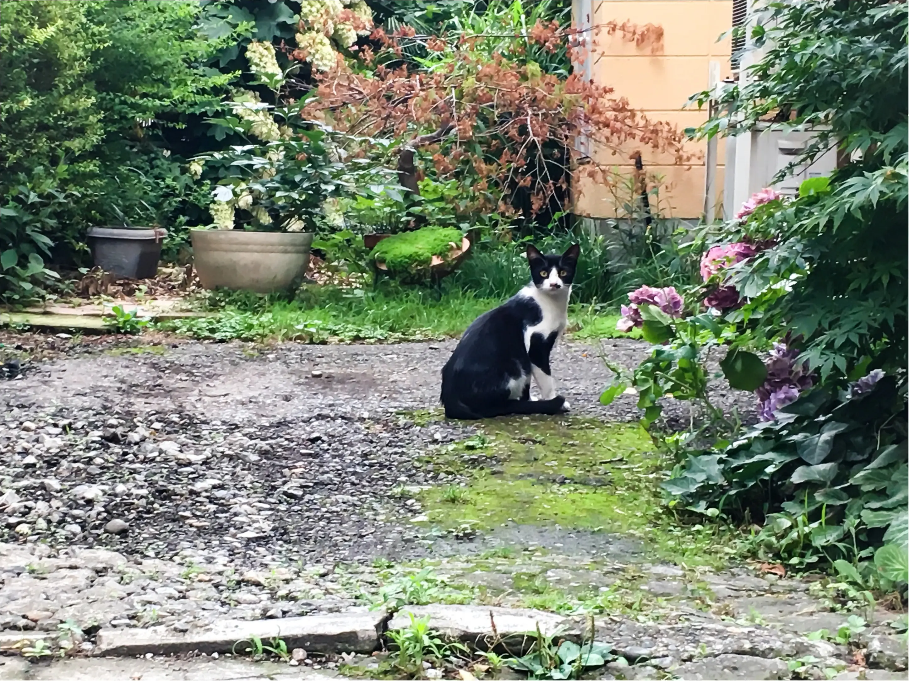 あっという間に!_1