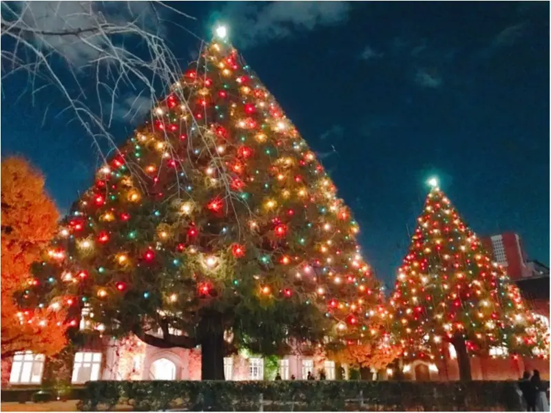 《あなたはどれが好み?》クリスマスツリー特集♡_3