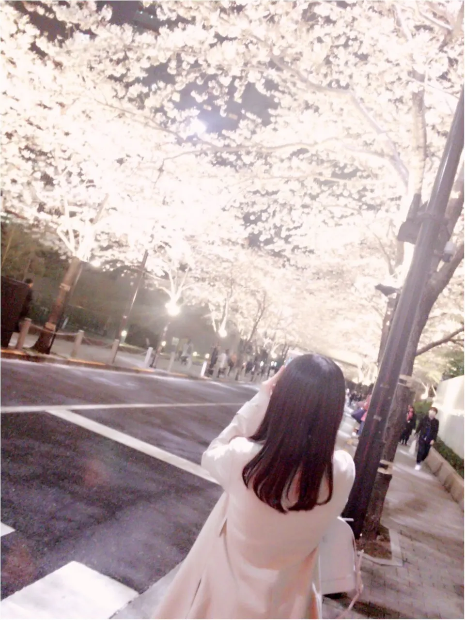 夜桜はしごしました♡六本木〜千鳥ヶ淵_1
