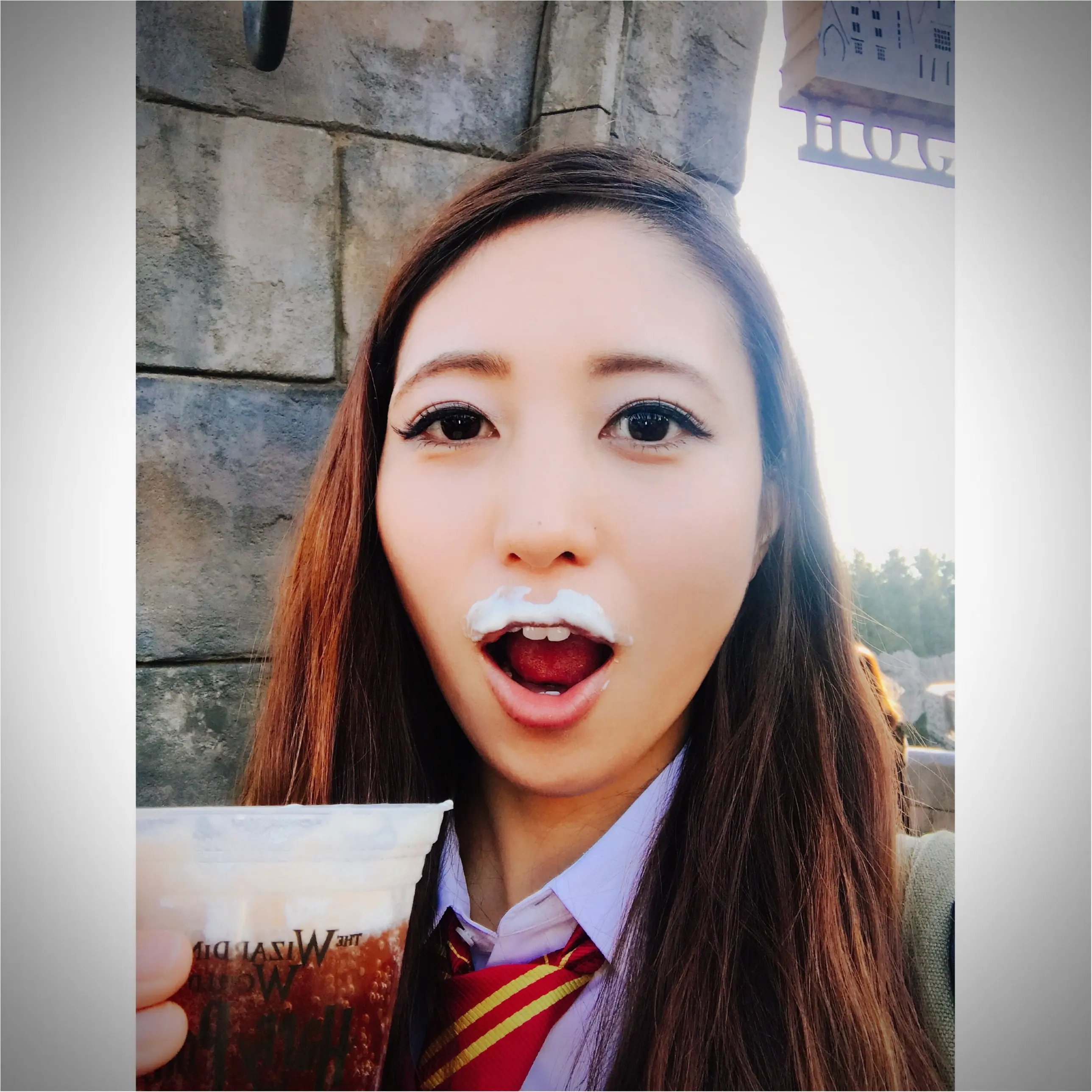 【ユニバーサルスタジオジャパン】の楽しみ方_3