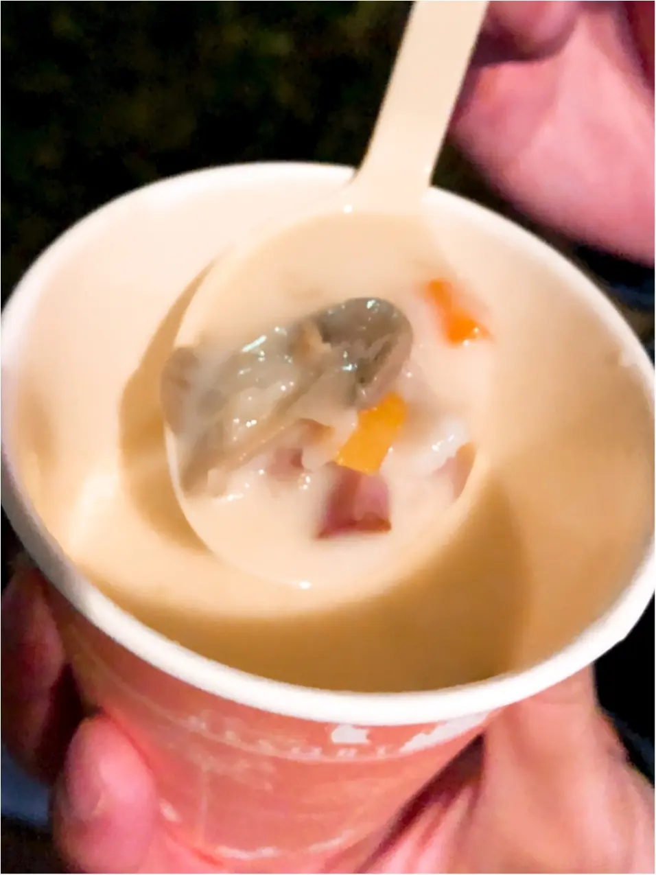 【ディズニー・クリスマス】夜のパークの楽しみ方!クリスマスのオススメを紹介します!_8
