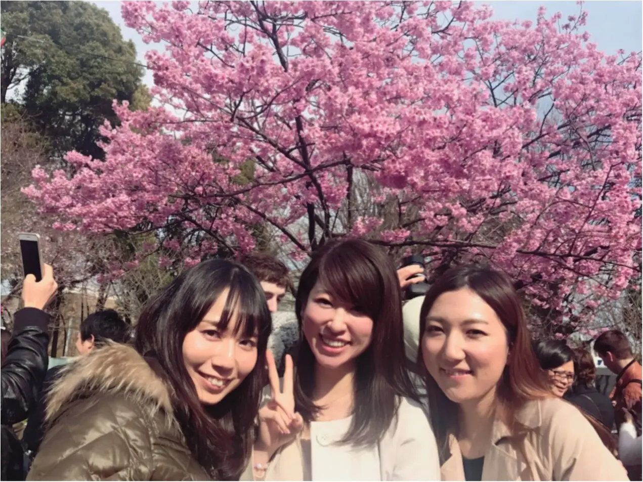 春最高!お花見最高!!モアハピ最高!!!_12