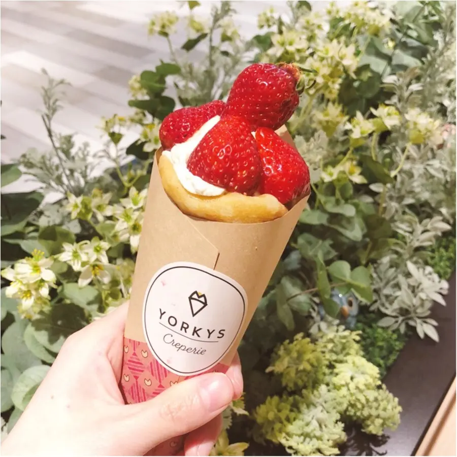 あまおうと生クリームのハーモニー ♡ クレープ専門店 『 ヨーキーズクレープリー 』が大阪にNewオープン ♡♡_3
