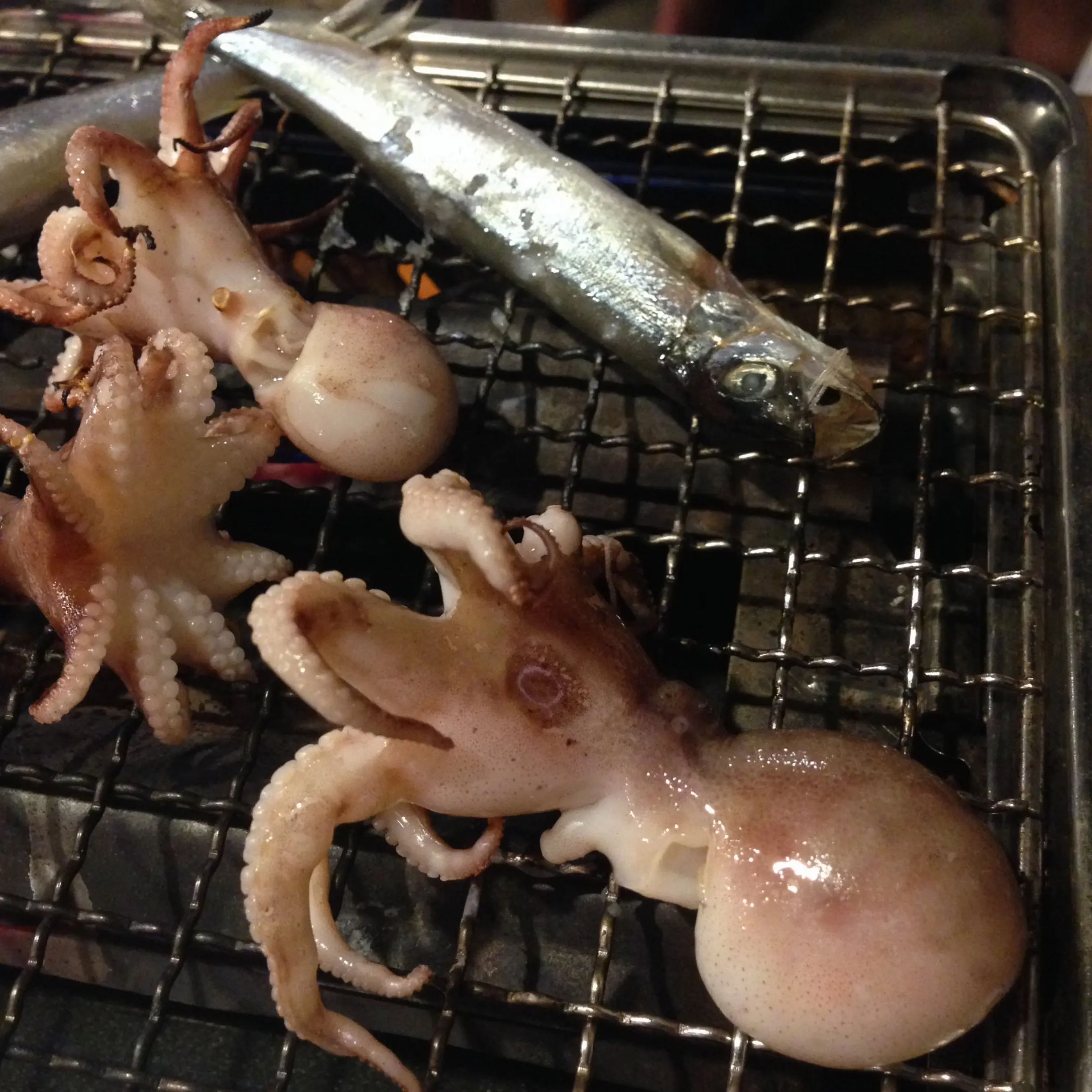 恵比寿で浜焼き❤️海鮮が美味しいビアガーデン★★★ _9