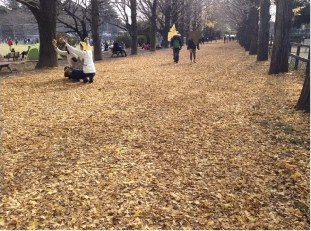 【私がおすすめする紅葉スポット】一度は歩きたい!《イチョウ並木の黄色いじゅうたん》がココにあります!!_6