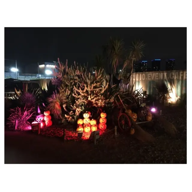 〜都会でおしゃれBBQ〜_4