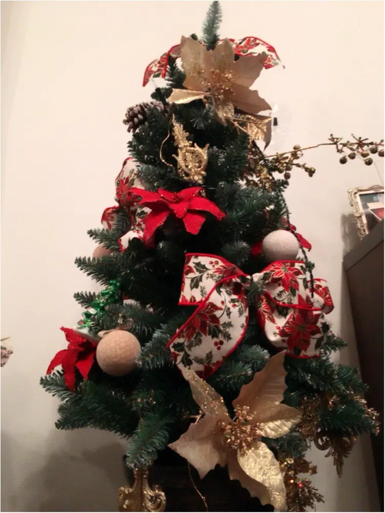 最近のファッション事情。わが家は既にクリスマスモードです♡_2