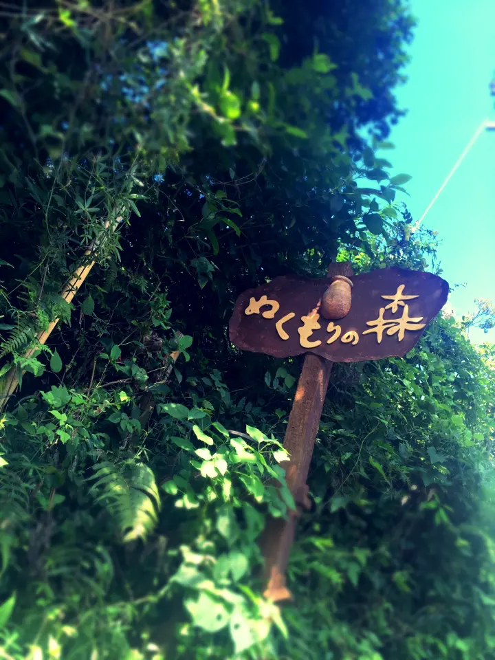 おとぎの国がココに。静岡に行ったら一度は行きたいかわいすぎる世界へ_1