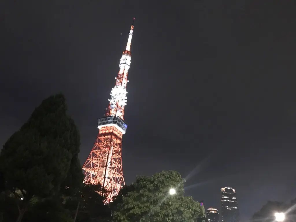【にしのあきひろ 光る絵本展 in 東京タワー】色と光の美しさ、全世代を惹きつける魅力とは。_11