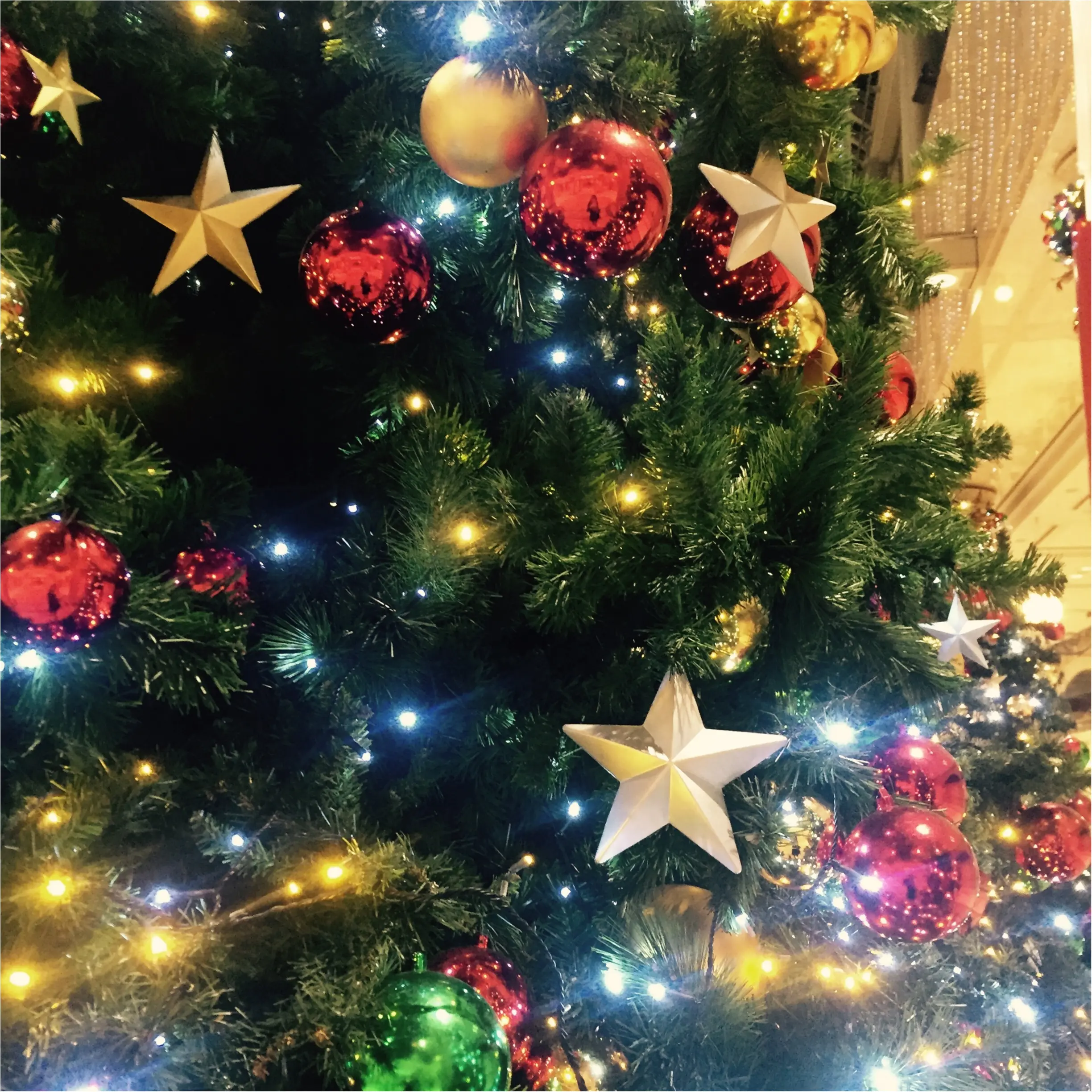 Xmas♡クリスマスツリー巡り♡_5