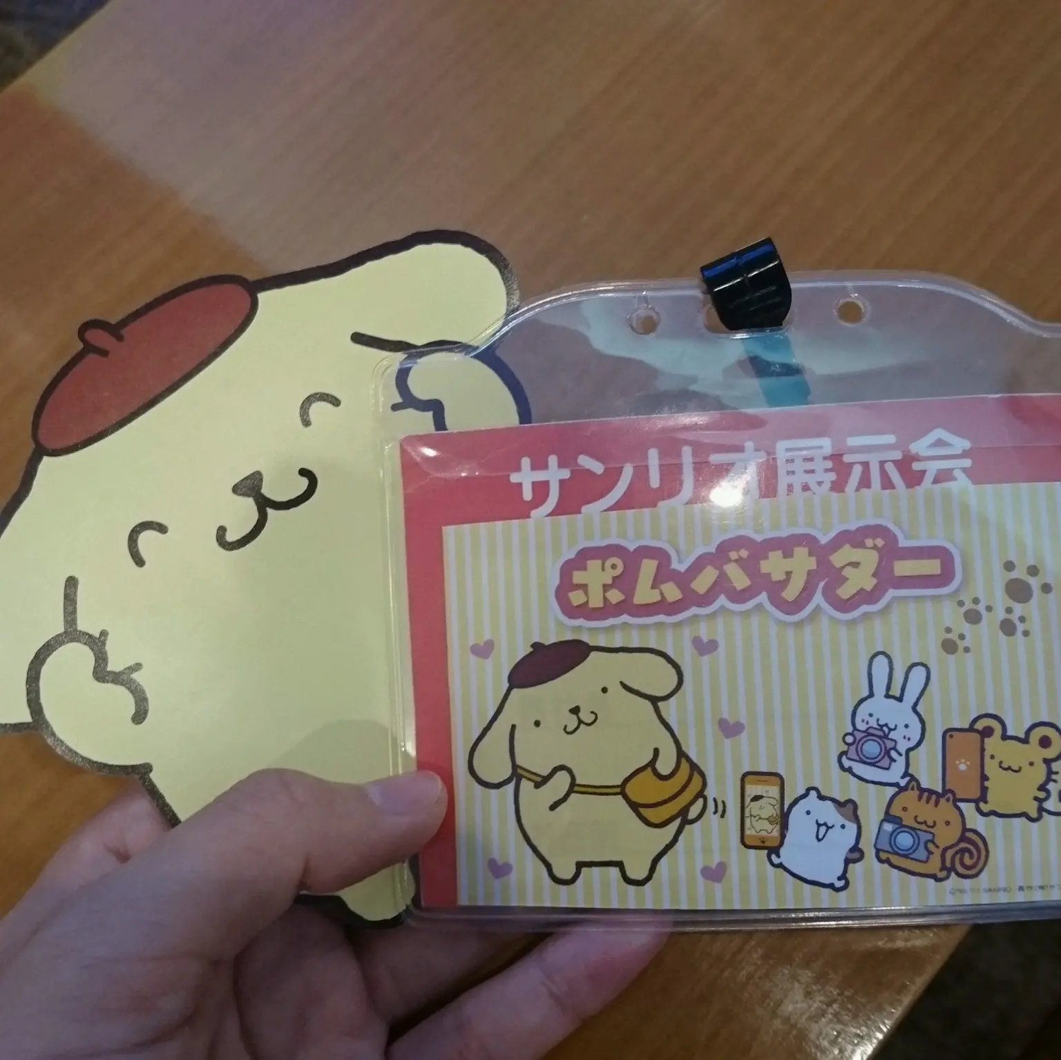 SANRIO EXPO(サンリオエキスポ)2017!ポムバサダーとして参加してきました♡【ポムポムプリン新商品】_17