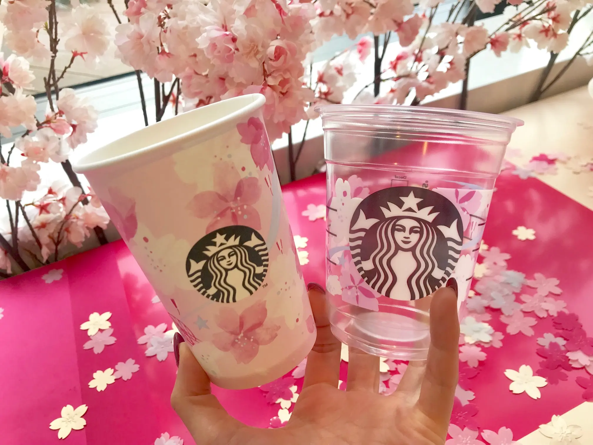 スタバ新作は 待ってましたのsakuraシリーズ 新メニューやアイテム 全部見せます 桜 19 1 グルメ Daily More