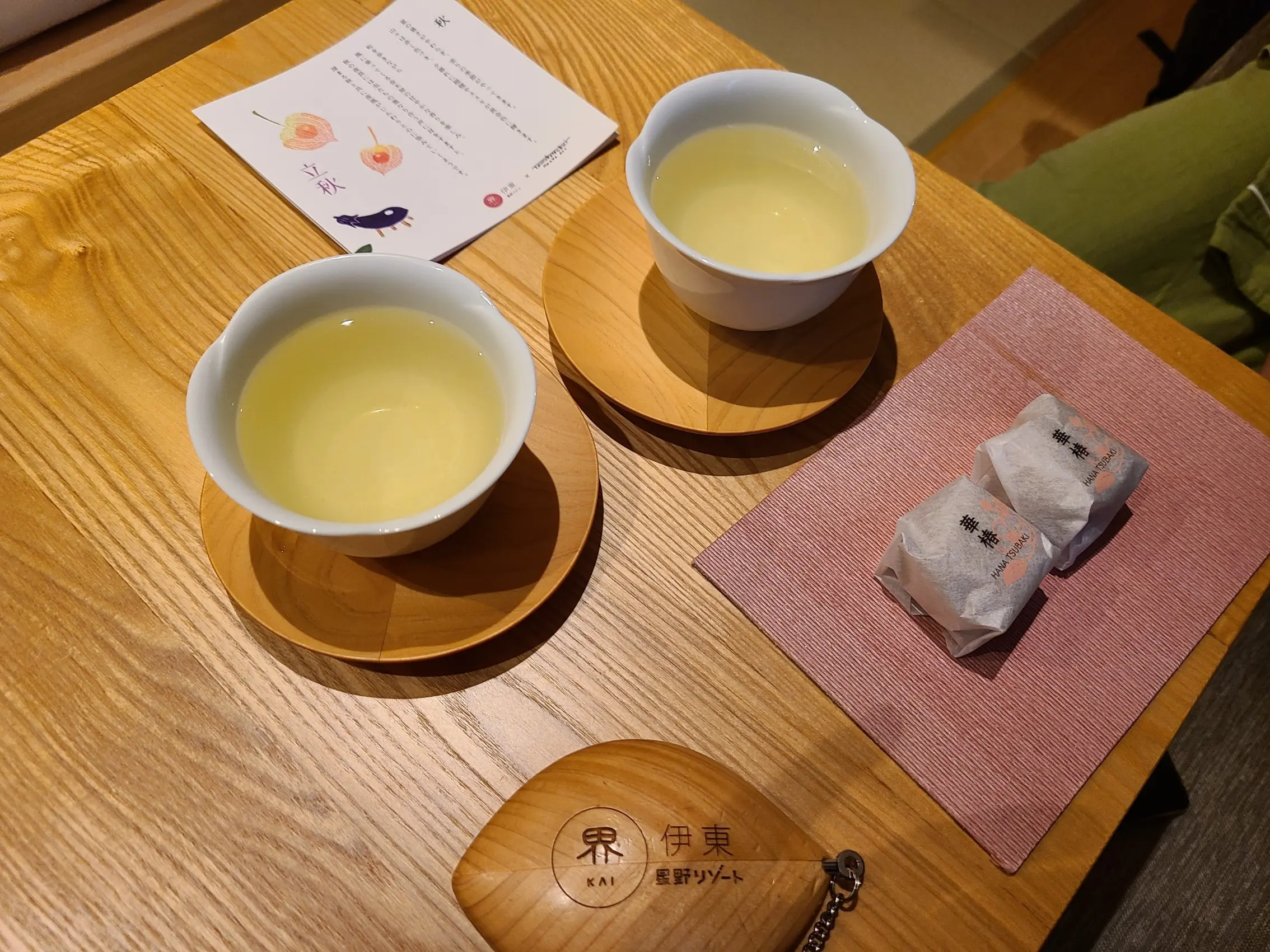 【女子旅におすすめ】静岡県・伊東市!大自然&星野リゾート界で楽しむのんびり旅☆_14