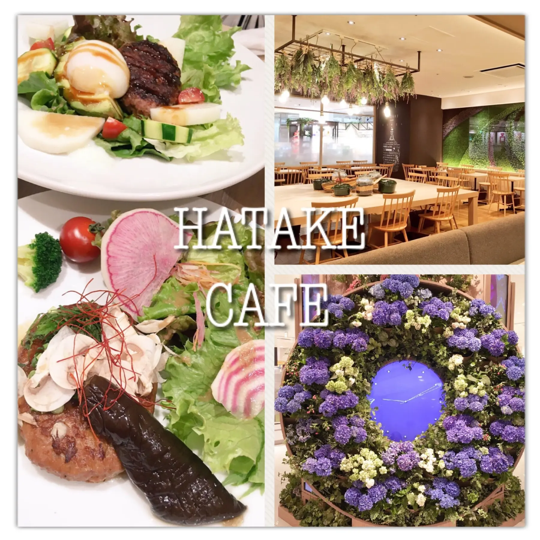 銀座マロニエゲート『HATAKE CAFE』のメニューが体に優しい&おいしすぎる〜(﹡´◡`﹡ )♡_1