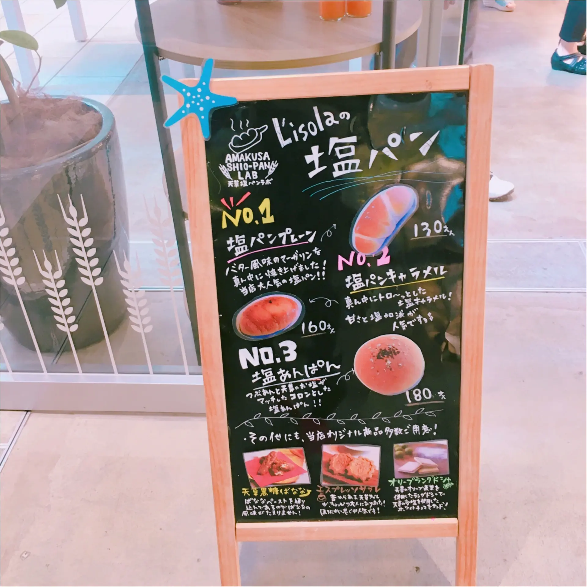 天草で大人気のスポット&絶品塩パン、教えちゃいます!【#モアチャレ 熊本の魅力発信!】_2